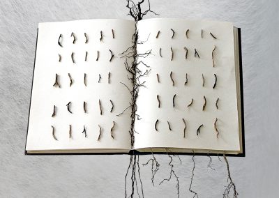 Kyra Clegg, Assemblages, Aggregates, Root Book
