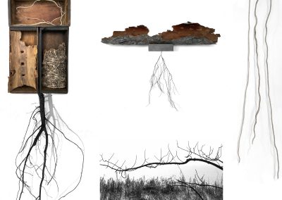 Kyra Clegg, Assemblages, Aggregates, Root Skeins Wood Skins