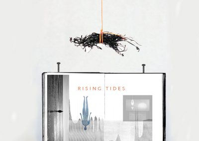 Kyra Clegg, Assemblages, 3D Collage, Rising Tides