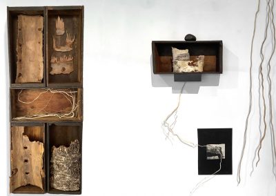 Kyra Clegg, Assemblages, Aggregates, Wood Skins Root Skeins