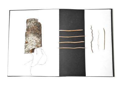 Kyra Clegg, Sketchbooks, Tree Signs