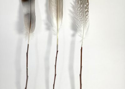 Kyra Clegg, Assemblages, Aggregates, Feather Sticks