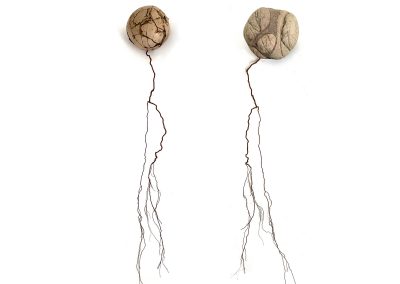 Kyra Clegg, Assemblages, Aggregates, Stone Roots Clay Roots